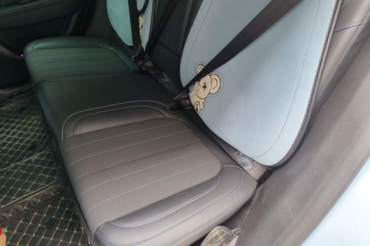 Used ORA Good Cat 2021 400km Standard Range Athena Edition Lithium Iron Phosphate Left Rear Seat