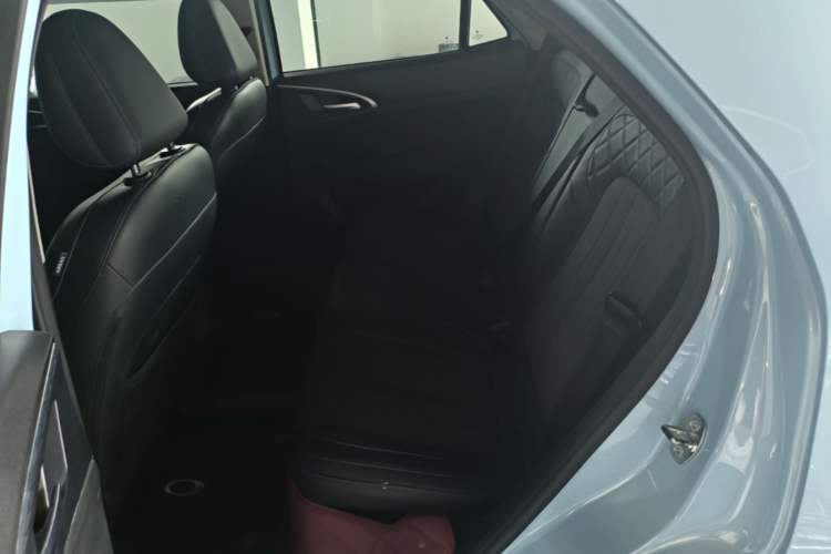 Used ORA Good Cat 2021 400km Standard Range Athena Edition Lithium Iron Phosphate Left Rear Seat