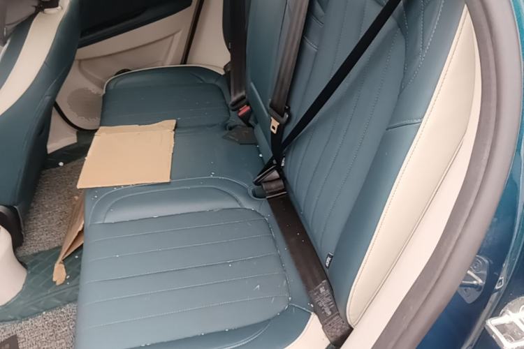 Used ORA Good Cat 2021 500km Long-Range Poseidon Edition Lithium-Ion Battery Left Rear Seat