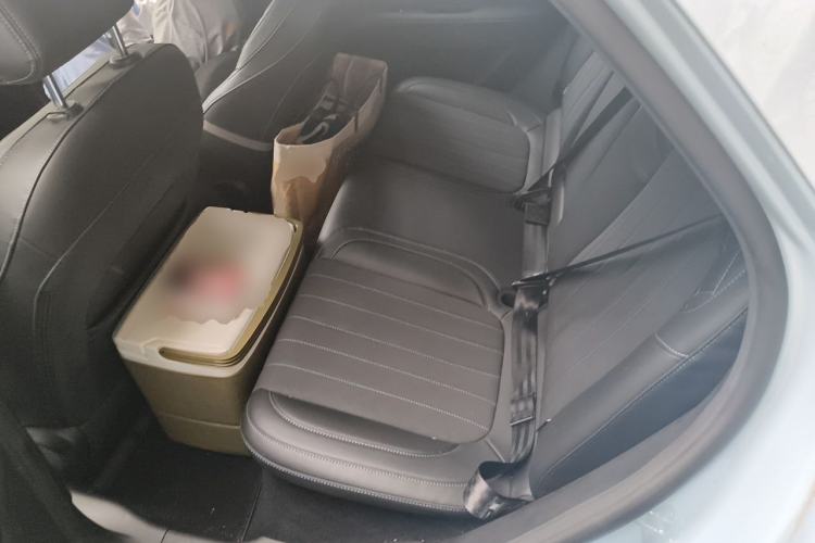 Used ORA Good Cat 2021 400km Standard Range Athena Edition Lithium Iron Phosphate Left Rear Seat