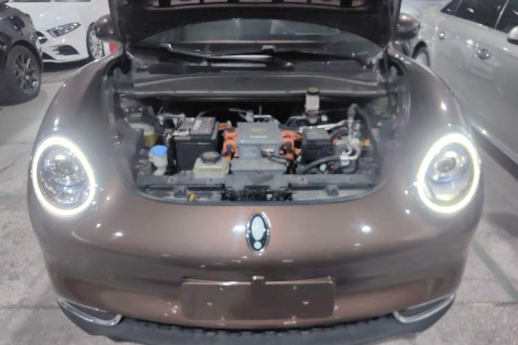 Used ORA Good Cat 2021 400km Standard Range Athena Edition Lithium Iron Phosphate Engine Bay