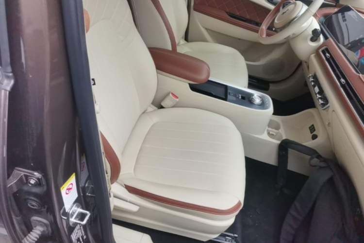 Used ORA Good Cat 2021 500km Long-Range Poseidon Edition Lithium-Ion Battery Right Front Seat