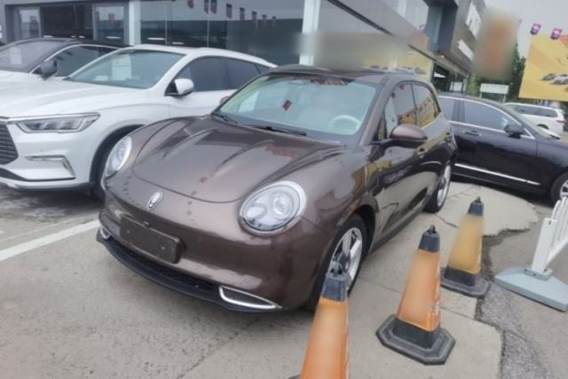 Used ORA Good Cat 2021 500km Long-Range Poseidon Edition Lithium-Ion Battery