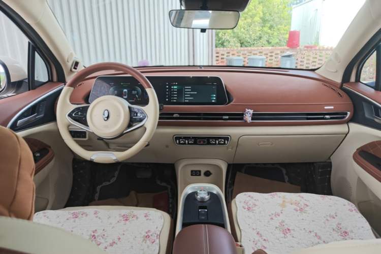 Used ORA Good Cat 2021 400km Standard Range Venus Edition Lithium Iron Phosphate Center Console