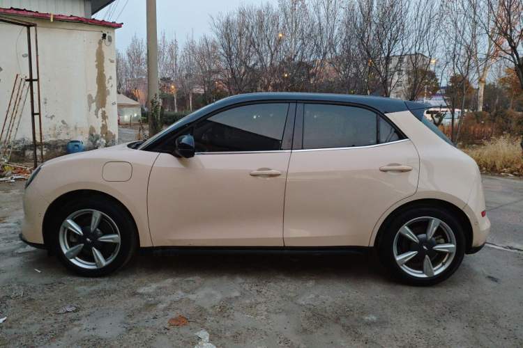 Used ORA Good Cat 2021 400km Standard Range Athena Edition Lithium-Ion Battery Exterior 3
