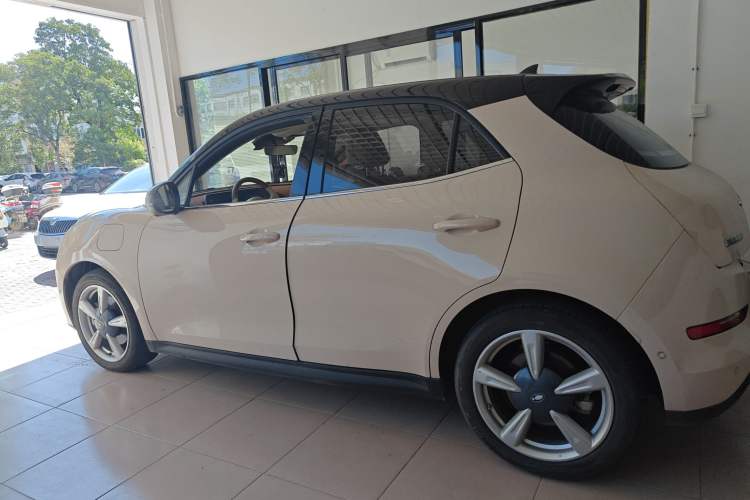 Used ORA Good Cat 2021 400km Standard Range Athena Edition Lithium Iron Phosphate Exterior 5