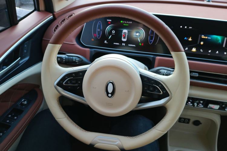 Used ORA Good Cat 2021 400km Standard Range Athena Edition Lithium Iron Phosphate Steering Wheel