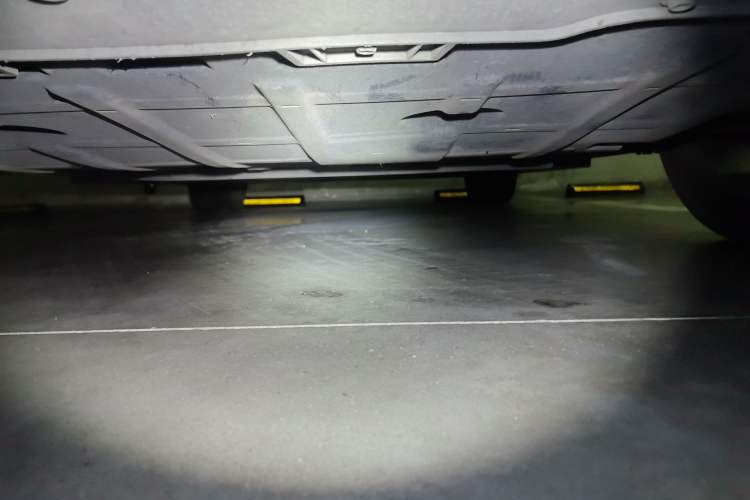 Used ORA Good Cat 2021 400km Standard Range Athena Edition Lithium Iron Phosphate Chassis Front