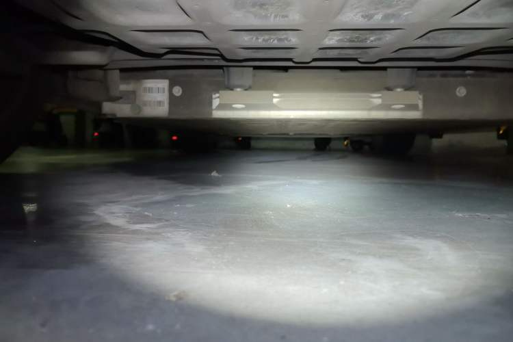 Used ORA Good Cat 2021 400km Standard Range Athena Edition Lithium Iron Phosphate Chassis Rear