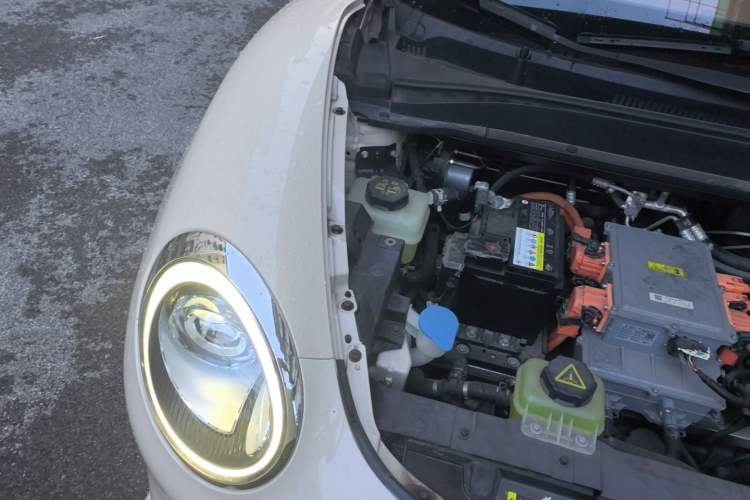 Used ORA Good Cat 2021 400km Standard Range Venus Edition Lithium Iron Phosphate Engine Bay Right