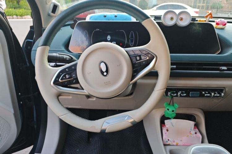 Used ORA Good Cat 2021 400km Standard Range Athena Edition Lithium-Ion Battery Steering Wheel
