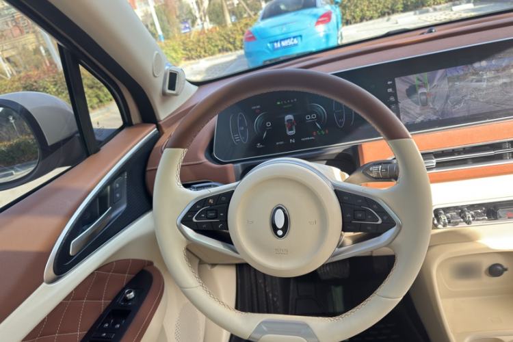 Used ORA Good Cat 2021 500km Long-Range Poseidon Edition Lithium-Ion Battery Steering Wheel