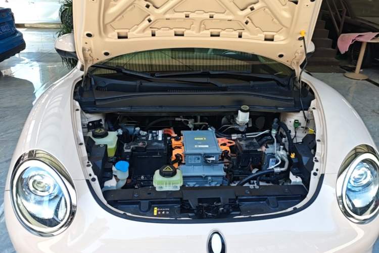 Used ORA Good Cat 2021 400km Standard Range Venus Edition Lithium Iron Phosphate Engine Bay