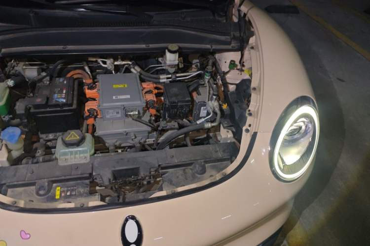 Used ORA Good Cat 2021 400km Standard Range Venus Edition Lithium Iron Phosphate Engine Bay Left