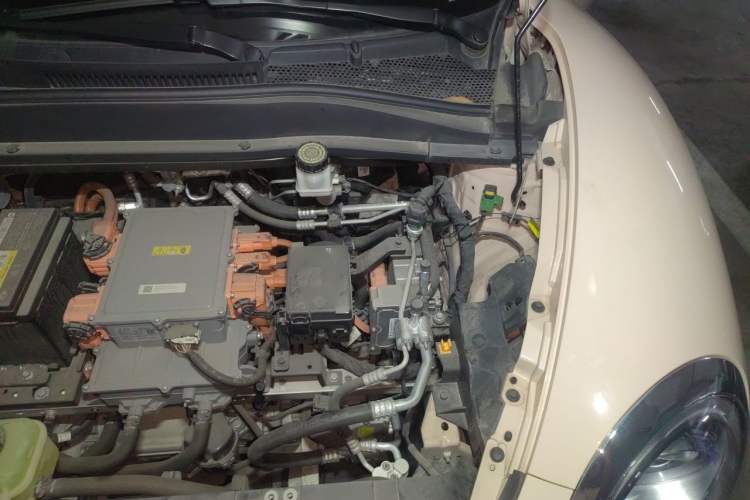 Used ORA Good Cat 2021 400km Standard Range Athena Edition Lithium Iron Phosphate Engine Bay Left