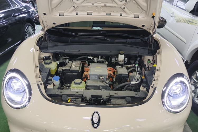 Used ORA Good Cat 2021 400km Standard Range Athena Edition Lithium Iron Phosphate Engine Bay