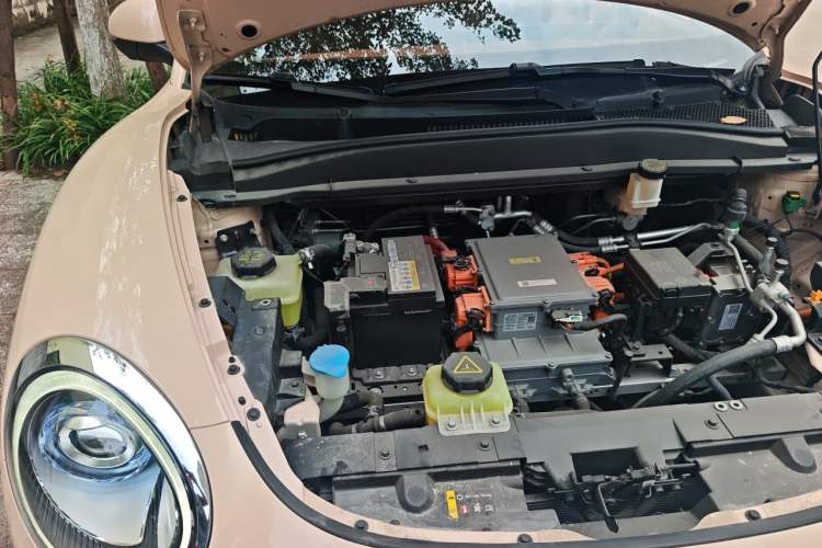Used ORA Good Cat 2021 400km Standard Range Venus Edition Lithium Iron Phosphate Engine Bay Right