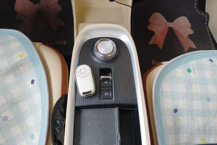 Used ORA Good Cat 2021 400km Standard Range Venus Edition Lithium Iron Phosphate Gear Lever