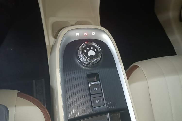 Used ORA Good Cat 2021 500km Long-Range Poseidon Edition Lithium-Ion Battery Gear Lever