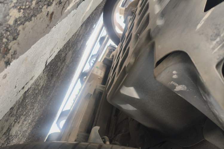 Used ORA Good Cat 2021 400km Standard Range Athena Edition Lithium Iron Phosphate Chassis Rear