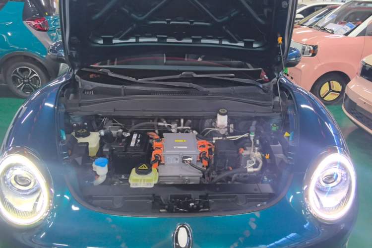 Used ORA Good Cat 2021 400km Standard Range Muse Edition Lithium Iron Phosphate Engine Bay