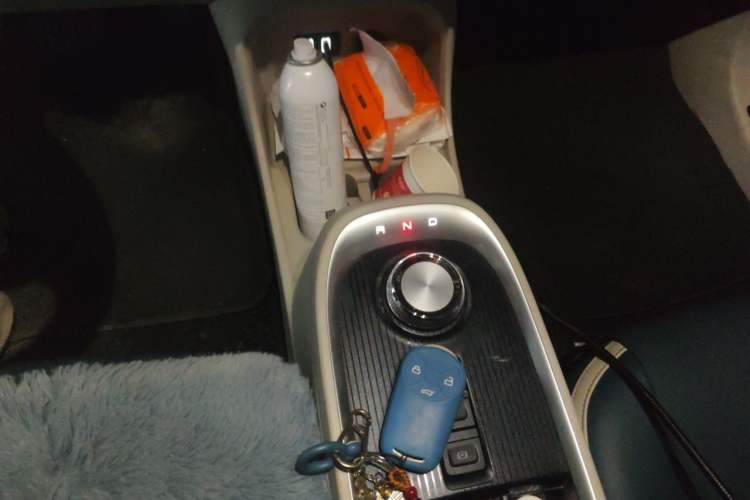 Used ORA Good Cat 2021 500km Long-Range Business Edition Lithium-NMC Gear Lever