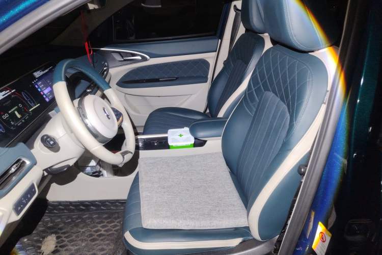 Used ORA Good Cat 2021 400km Standard Range Athena Edition Lithium Iron Phosphate Left Front Seat