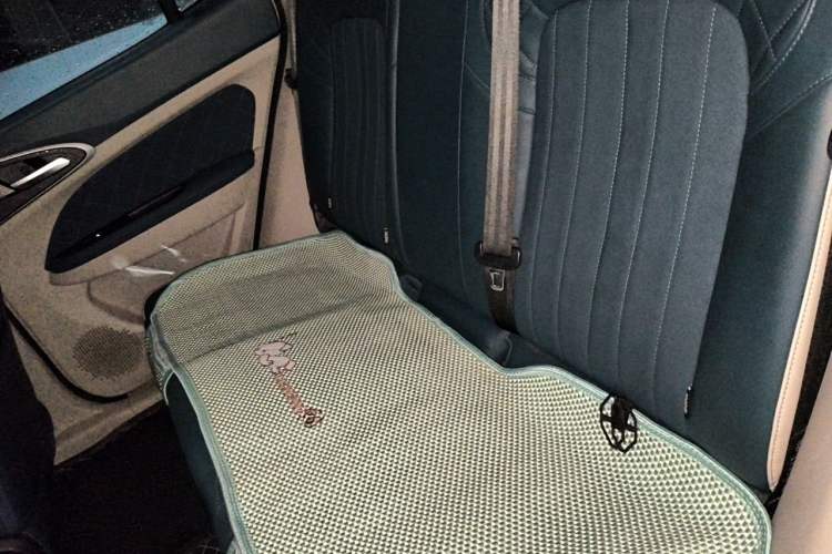 Used ORA Good Cat 2021 400km Standard Range Venus Edition Lithium-Ion Battery Left Rear Seat