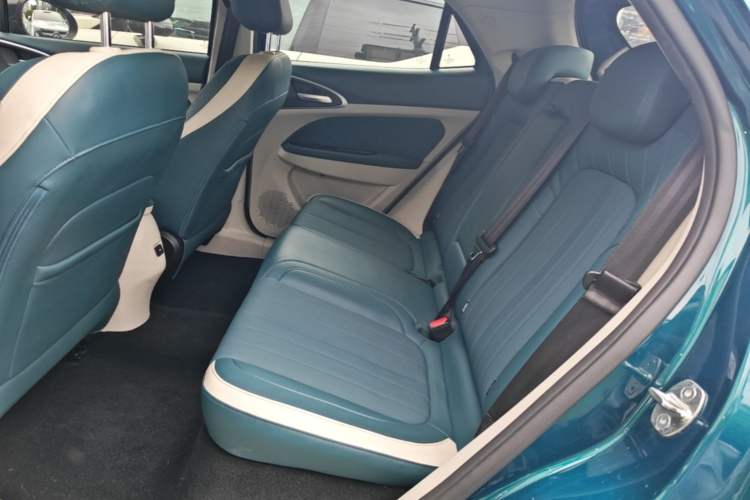 Used ORA Good Cat 2021 500km Long-Range Poseidon Edition Lithium-Ion Battery Left Rear Seat