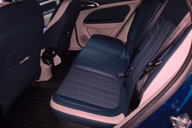 Used ORA Good Cat 2021 500km Long-Range Poseidon Edition Lithium-Ion Battery Left Rear Seat
