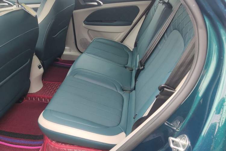 Used ORA Good Cat 2021 500km Long-Range Poseidon Edition Lithium-Ion Battery Left Rear Seat