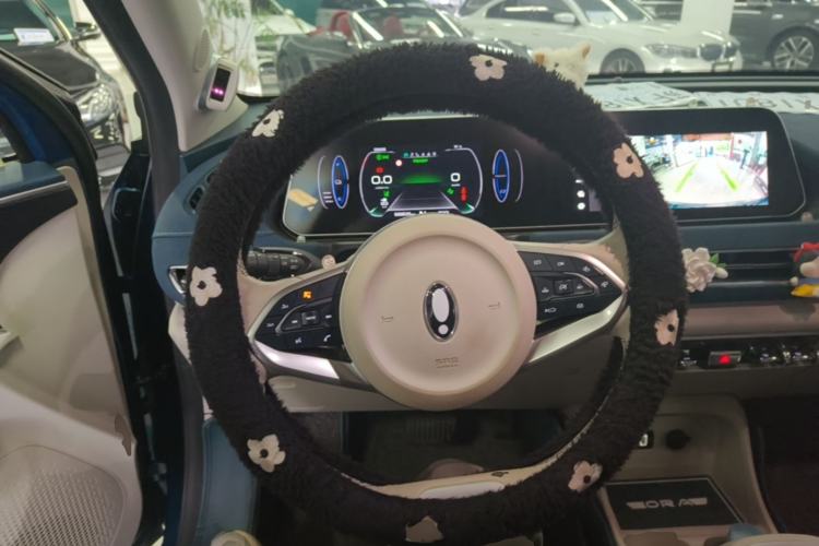 Used ORA Good Cat 2021 400km Standard Range Venus Edition Lithium-Ion Battery Steering Wheel