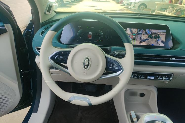 Used ORA Good Cat 2021 400km Standard Range Athena Edition Lithium-Ion Battery Steering Wheel