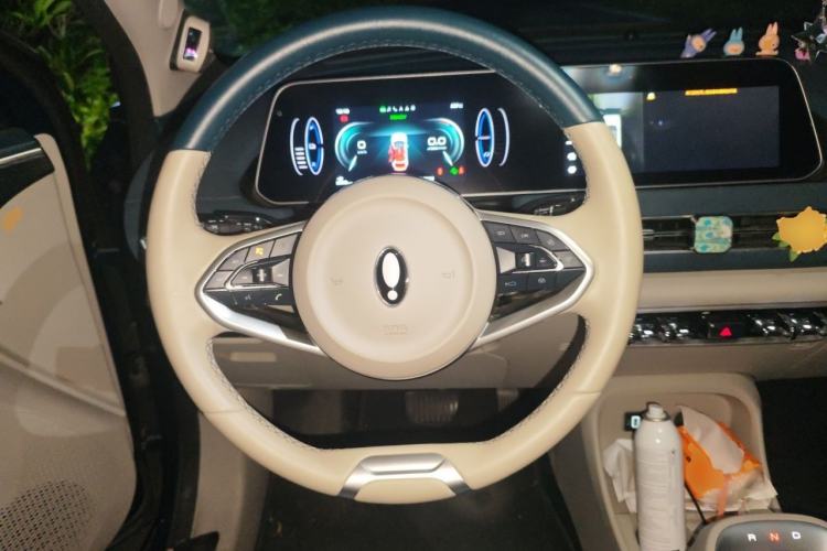 Used ORA Good Cat 2021 500km Long-Range Business Edition Lithium-NMC Steering Wheel