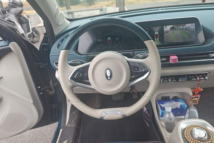 Used ORA Good Cat 2021 400km Standard Range Venus Edition Lithium-Ion Battery Steering Wheel