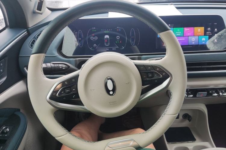 Used ORA Good Cat 2021 500km Long-Range Poseidon Edition Lithium-Ion Battery Steering Wheel