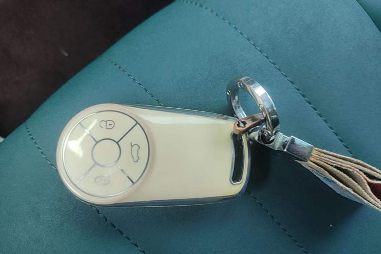Used ORA Good Cat 2021 400km Standard Range Athena Edition Lithium-Ion Battery Vehicle Key