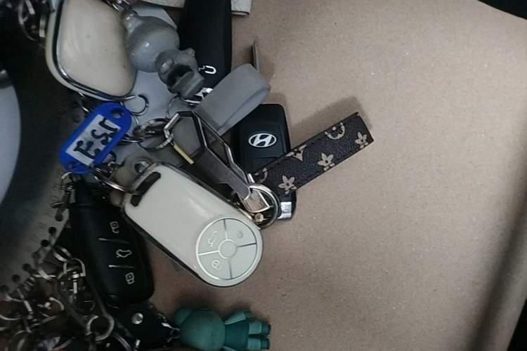 Used ORA Good Cat 2021 400km Standard Range Athena Edition Lithium-Ion Battery Vehicle Key