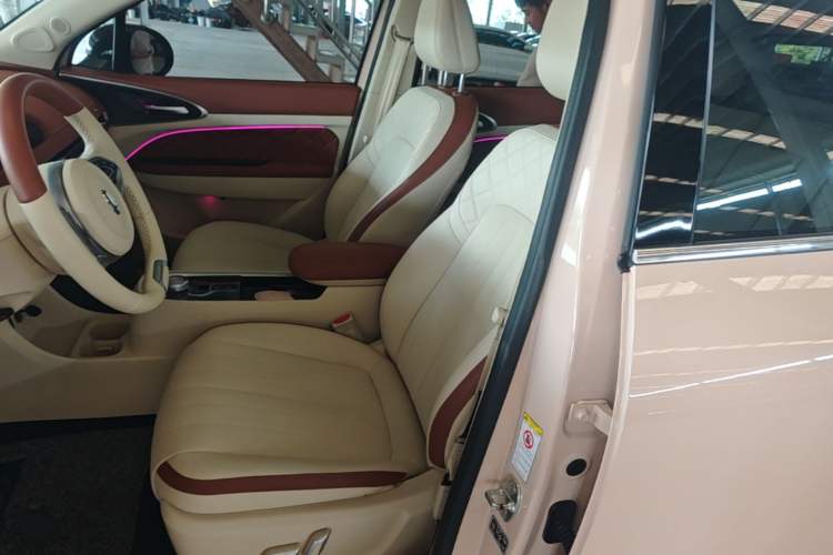 Used ORA Good Cat 2021 400km Standard Range Athena Edition Lithium Iron Phosphate Left Front Seat