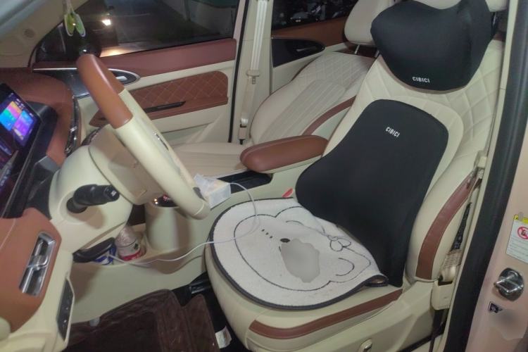 Used ORA Good Cat 2021 400km Standard Range Athena Edition Lithium Iron Phosphate Left Front Seat