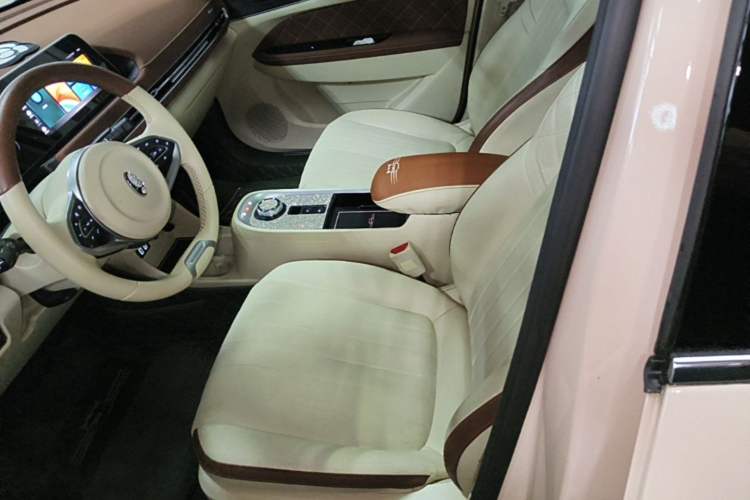 Used ORA Good Cat 2021 400km Standard Range Athena Edition Lithium Iron Phosphate Left Front Seat
