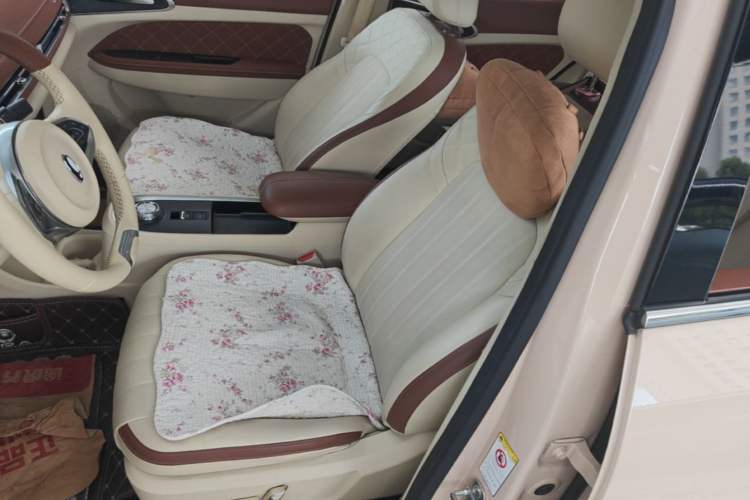 Used ORA Good Cat 2021 400km Standard Range Venus Edition Lithium Iron Phosphate Left Front Seat