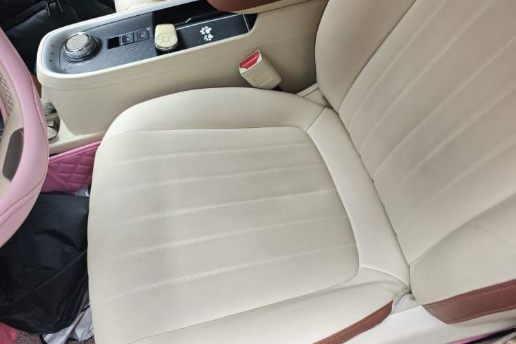 Used ORA Good Cat 2021 400km Standard Range Athena Edition Lithium Iron Phosphate Left Front Seat