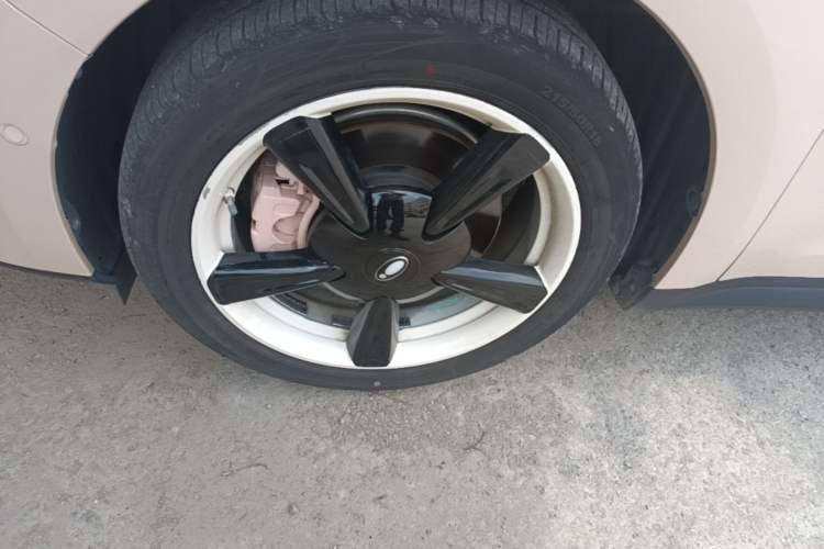 Used ORA Good Cat 2021 400km Standard Range Venus Edition Lithium Iron Phosphate Left Front Wheel Hub