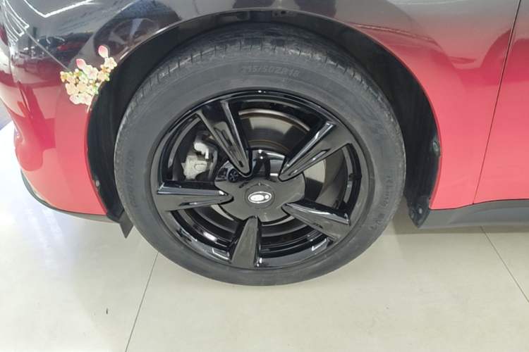 Used ORA Good Cat 2021 400km Standard Range Venus Edition Lithium Iron Phosphate Left Front Wheel Hub
