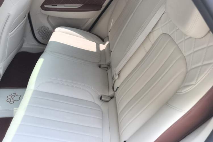 Used ORA Good Cat 2021 400km Standard Range Venus Edition Lithium Iron Phosphate Left Rear Seat