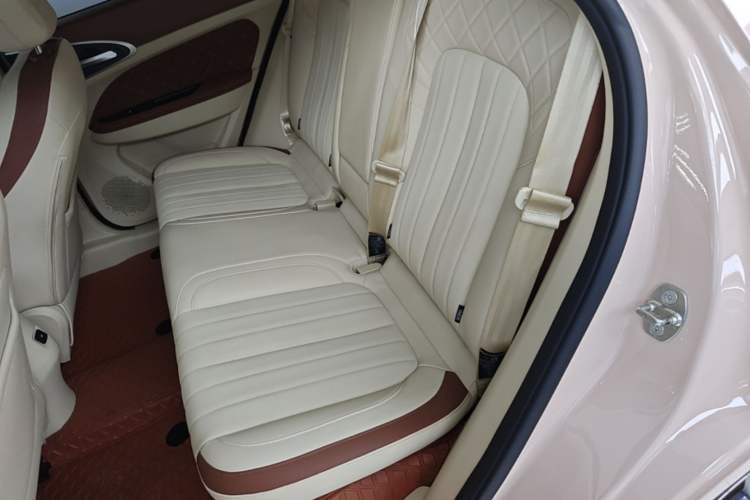 Used ORA Good Cat 2021 400km Standard Range Athena Edition Lithium-Ion Battery Left Rear Seat