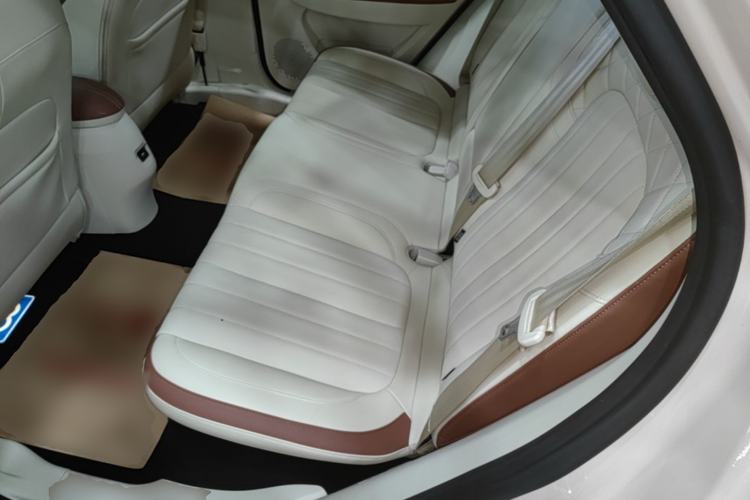 Used ORA Good Cat 2021 500km Long-Range Poseidon Edition Lithium-Ion Battery Left Rear Seat