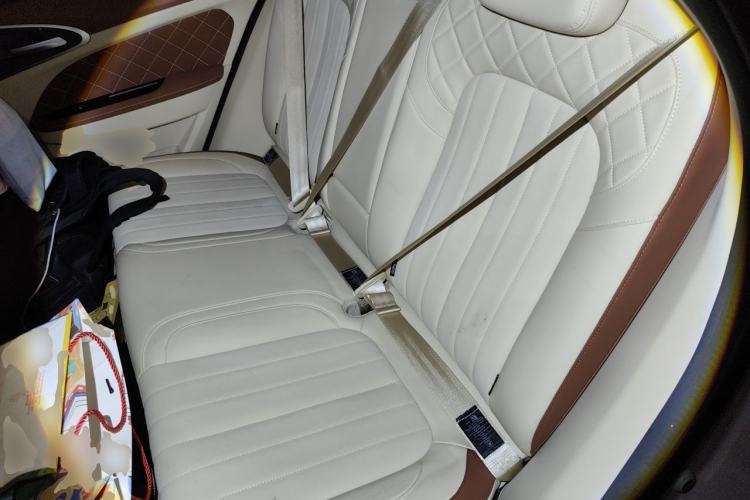 Used ORA Good Cat 2021 500km Long-Range Poseidon Edition Lithium-Ion Battery Left Rear Seat