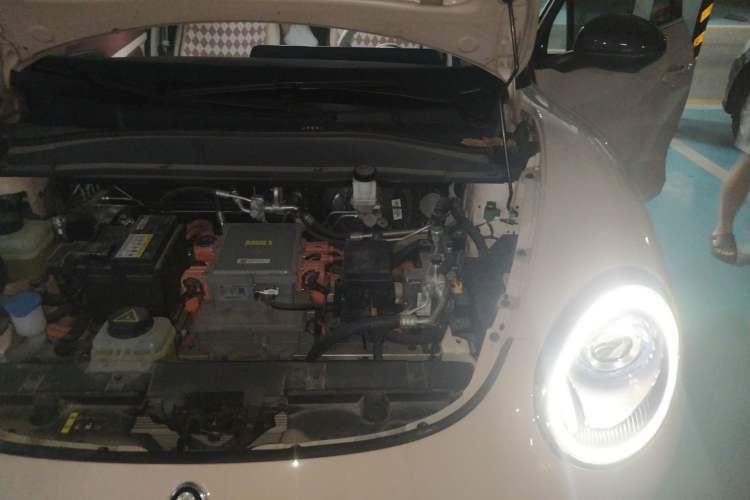 Used ORA Good Cat 2021 400km Standard Range Athena Edition Lithium Iron Phosphate Engine Bay Left
